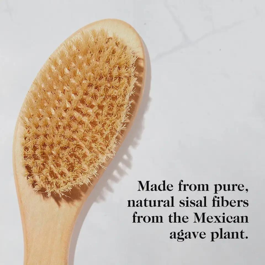 b.awake dry brush