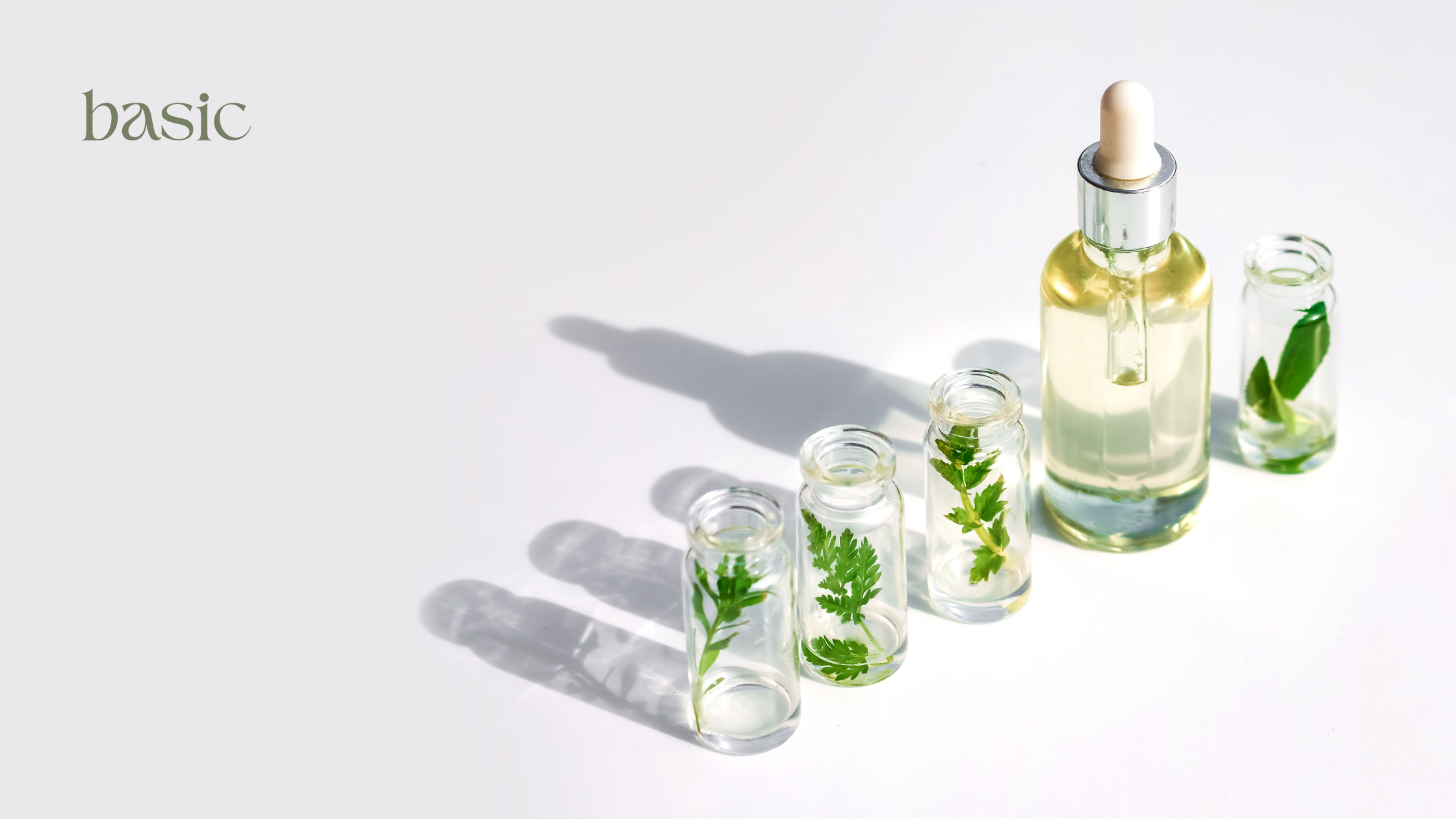 natural ingredients in Basic's products